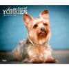 image Yorkshire Terriers Deluxe 2025 Wall Calendar Main Image