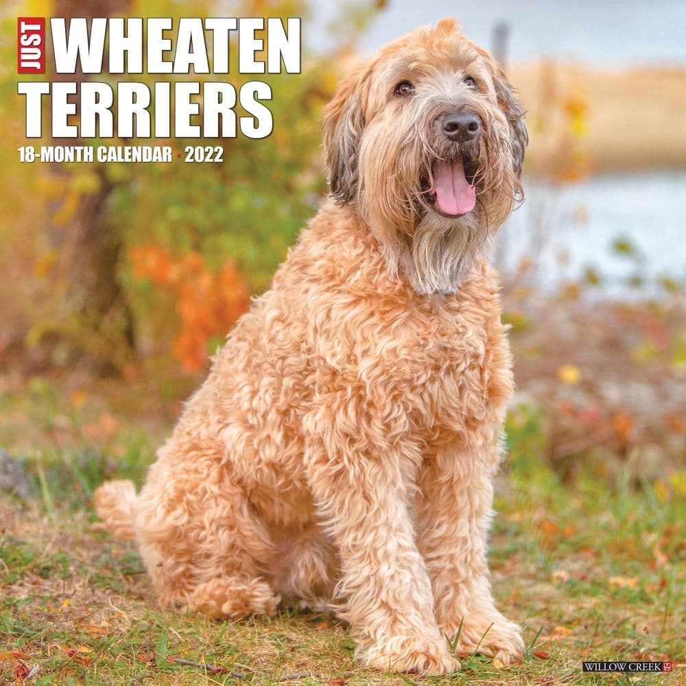 Wheaton Terriers 2022 Wall Calendar