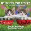image What the Fck Kitty 2027 Wall Calendar Main Image