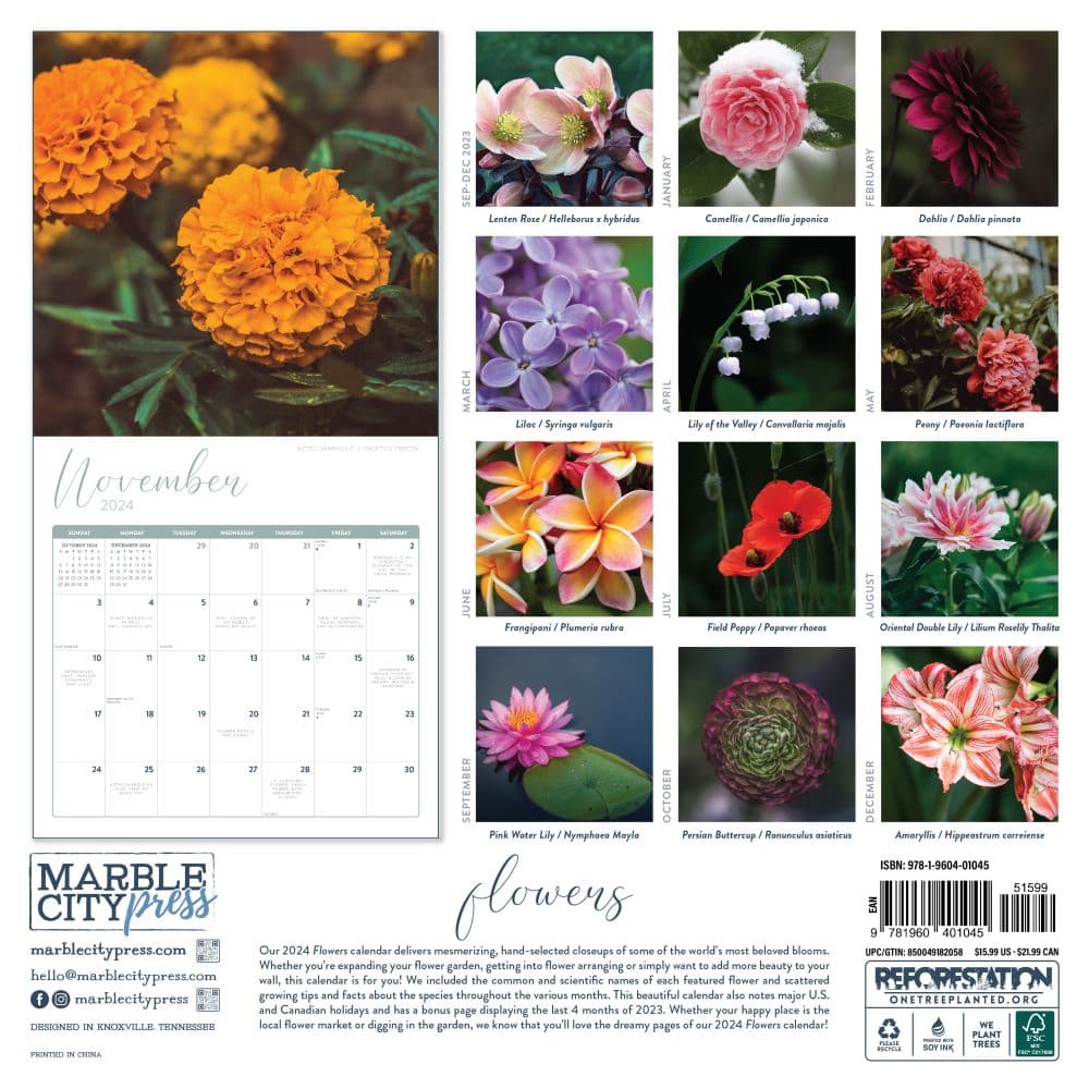 Flowers 2024 Wall Calendar - Calendars.com