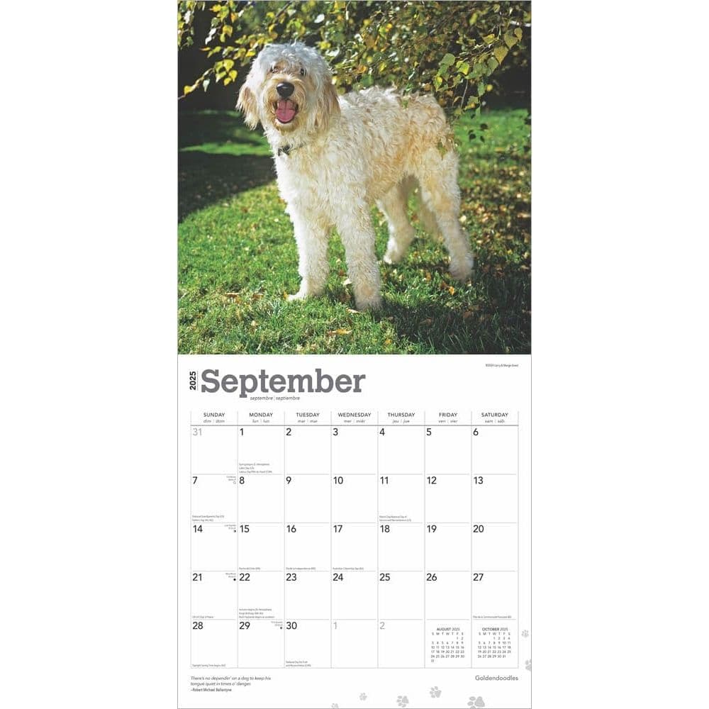 Goldendoodles 2025 Wall Calendar Third Alternate Image