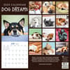 image Dog Dreams 2024 Wall Calendar First Alternate Image width=&quot;1000&quot; height=&quot;1000&quot;