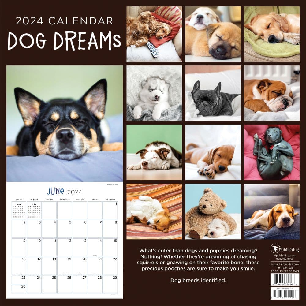 Dog Dreams 2024 Wall Calendar First Alternate Image width=&quot;1000&quot; height=&quot;1000&quot;