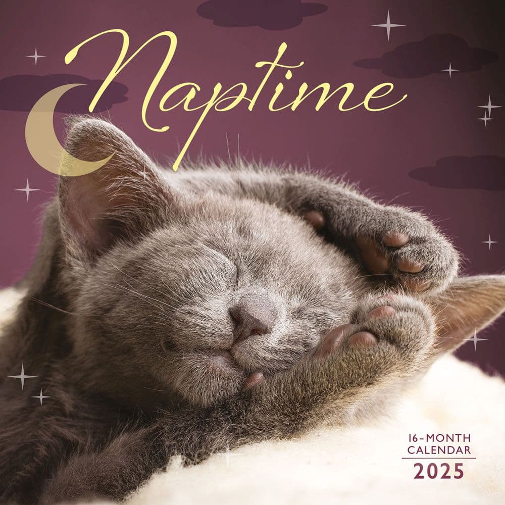 Naptime 2025 Mini Wall Calendar  Main Image