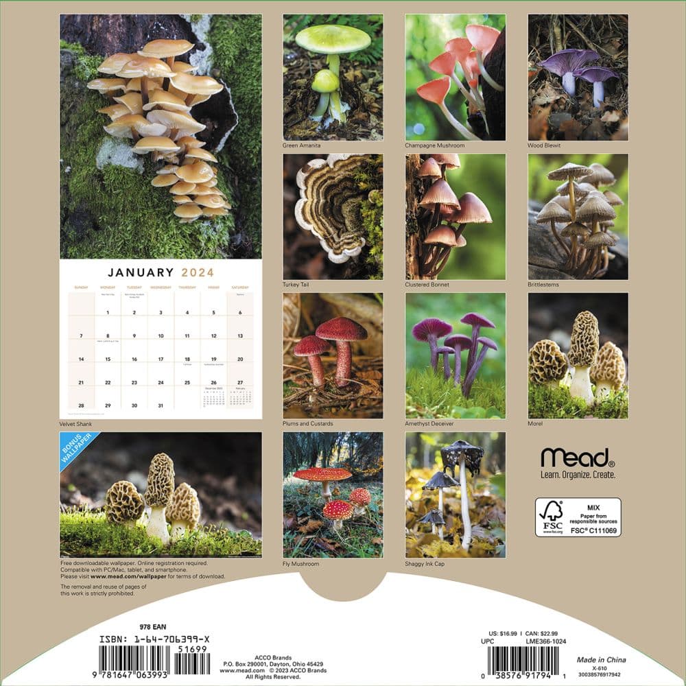 Mushrooms 2024 Wall Calendar Alternate Image 1