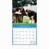 image Puppies Playful Photo 2024 Mini Wall Calendar Second Alternate 
Image width=&quot;1000&quot; height=&quot;1000&quot;
