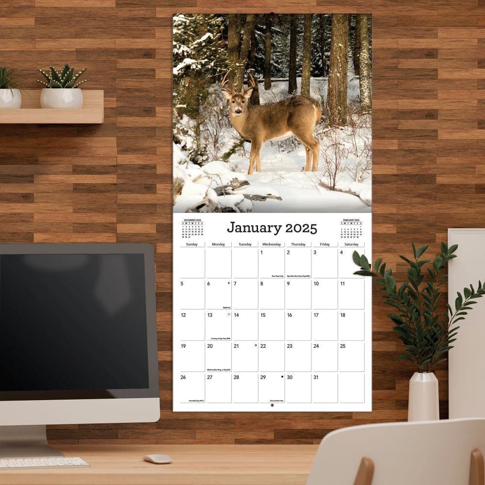 White Tailed Deer 2025 Wall Calendar Fourth Alternate Image