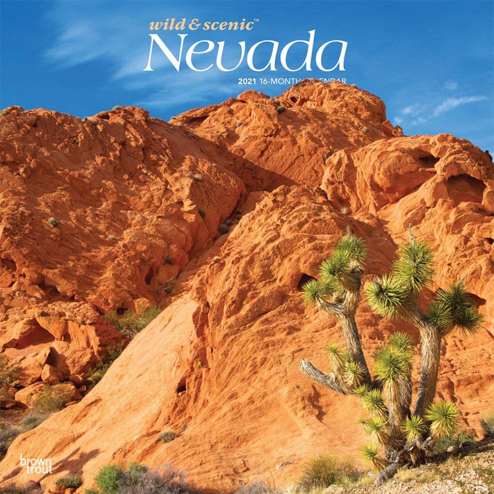 Nevada Wild & Scenic Wall Calendar