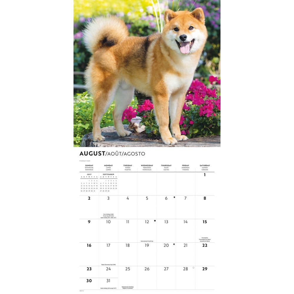 Shiba Inu 2026 Wall Calendar Third Alternate Image
