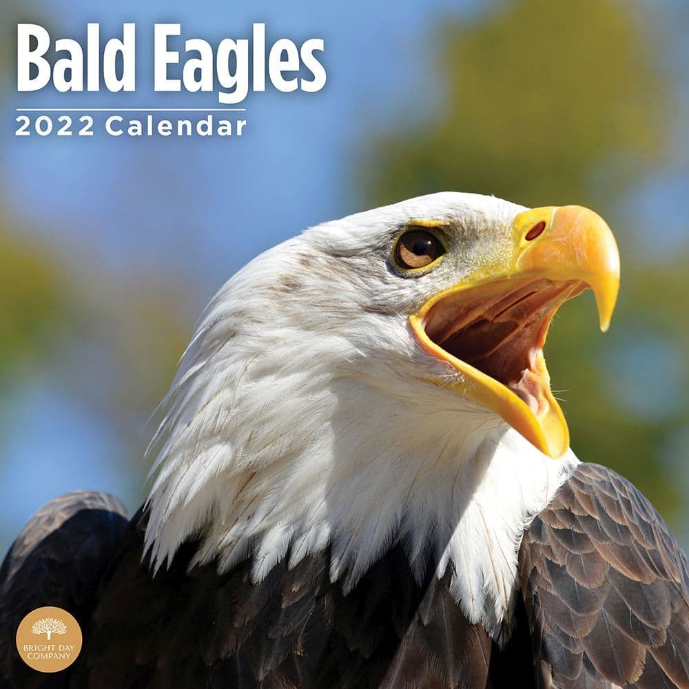 Bald Eagles 2022 Wall Calendar