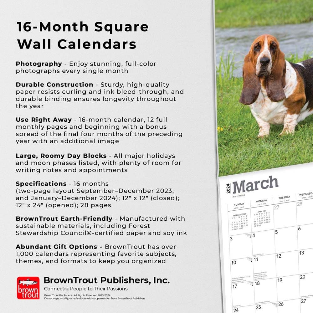 Basset Hounds 2024 Wall Calendar Fourth Alternate Image width=&quot;1000&quot; height=&quot;1000&quot;