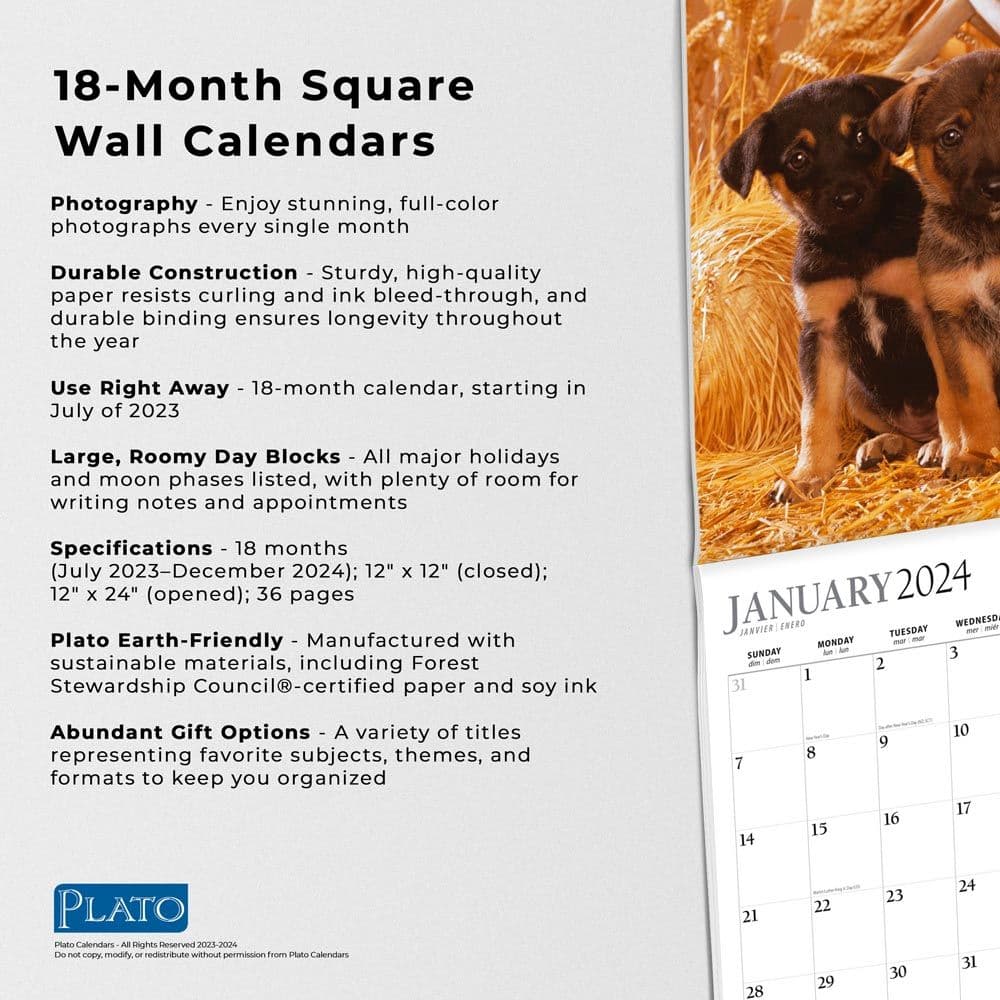 Puppies Adorable 2024 Wall Calendar Alternate Image 4