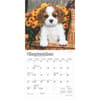 image Cavalier King Charles Puppies 2025 Mini Wall Calendar