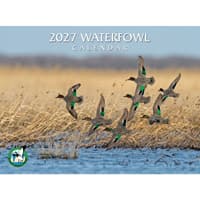image Waterfowl 2027 Wall Calendar Main Product Image