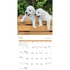 image Playful Puppies 2024 Wall Calendar Alternate Image 2