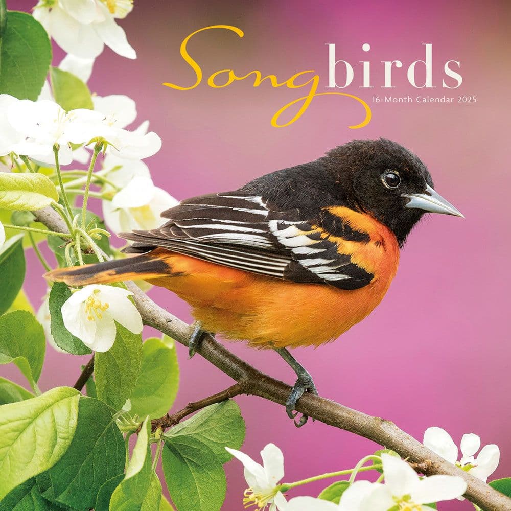 Songbirds 2025 Wall Calendar