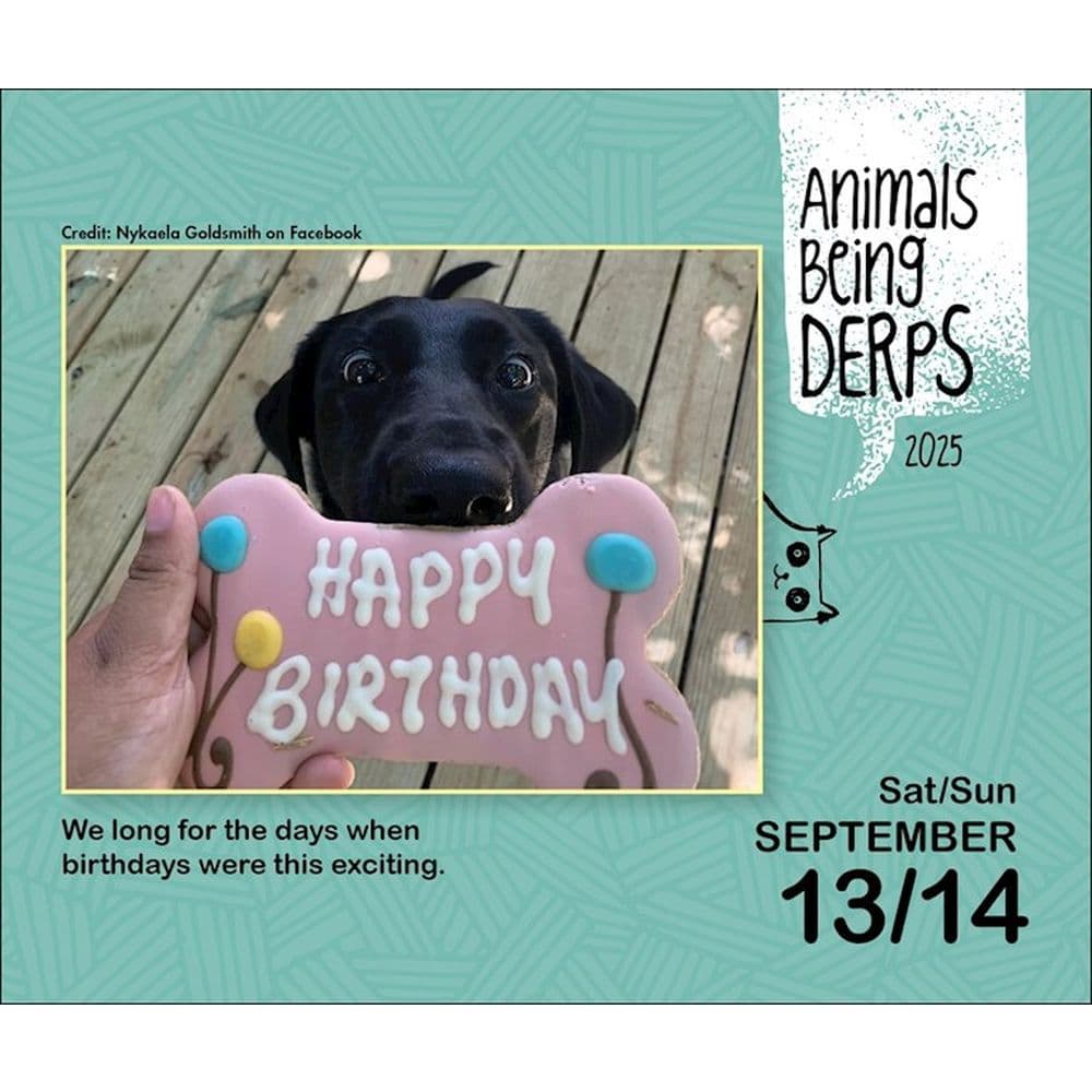 Animals Being Derps 2025 Desk Calendar Third Alternate Image