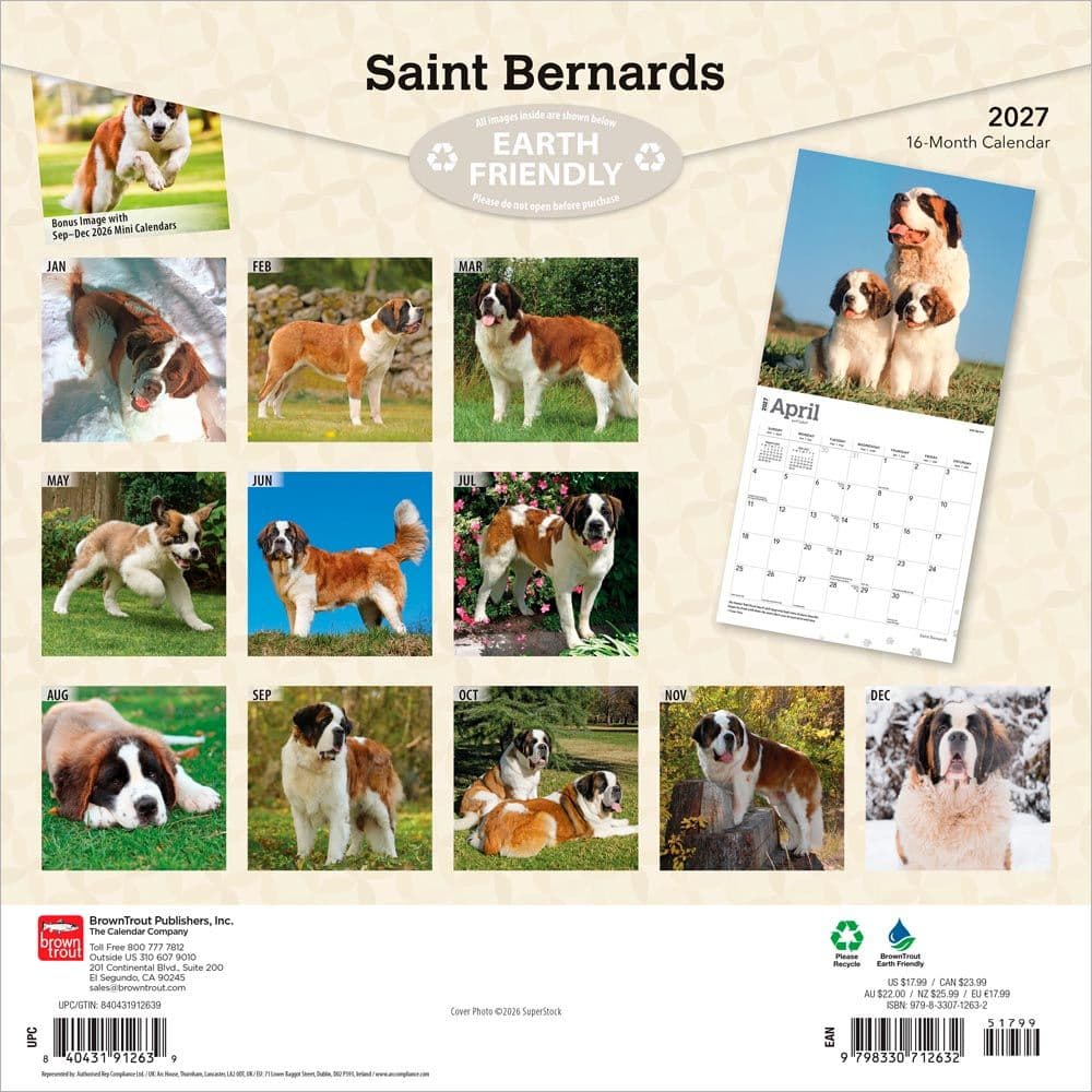 Saint Bernards 2027 Wall Calendar First Alternate Image