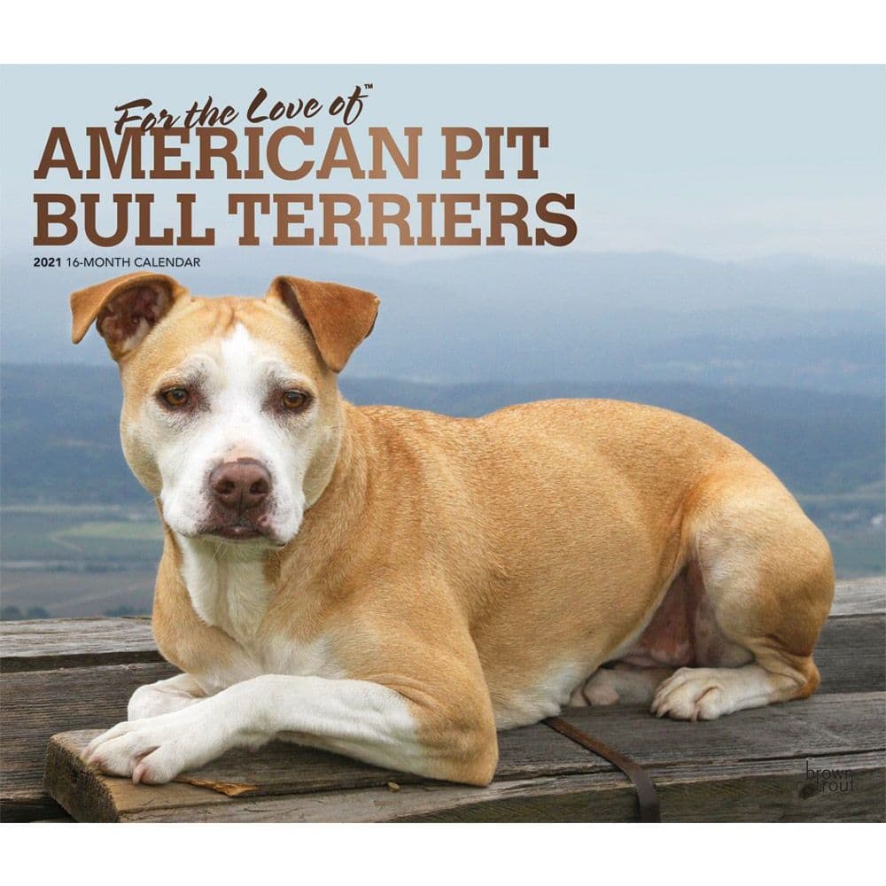 Pit Bull Terriers Wall Calendar - Calendars.com