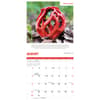 image Fascinating Fungi 2026 Wall Calendar Fourth Alternate Image