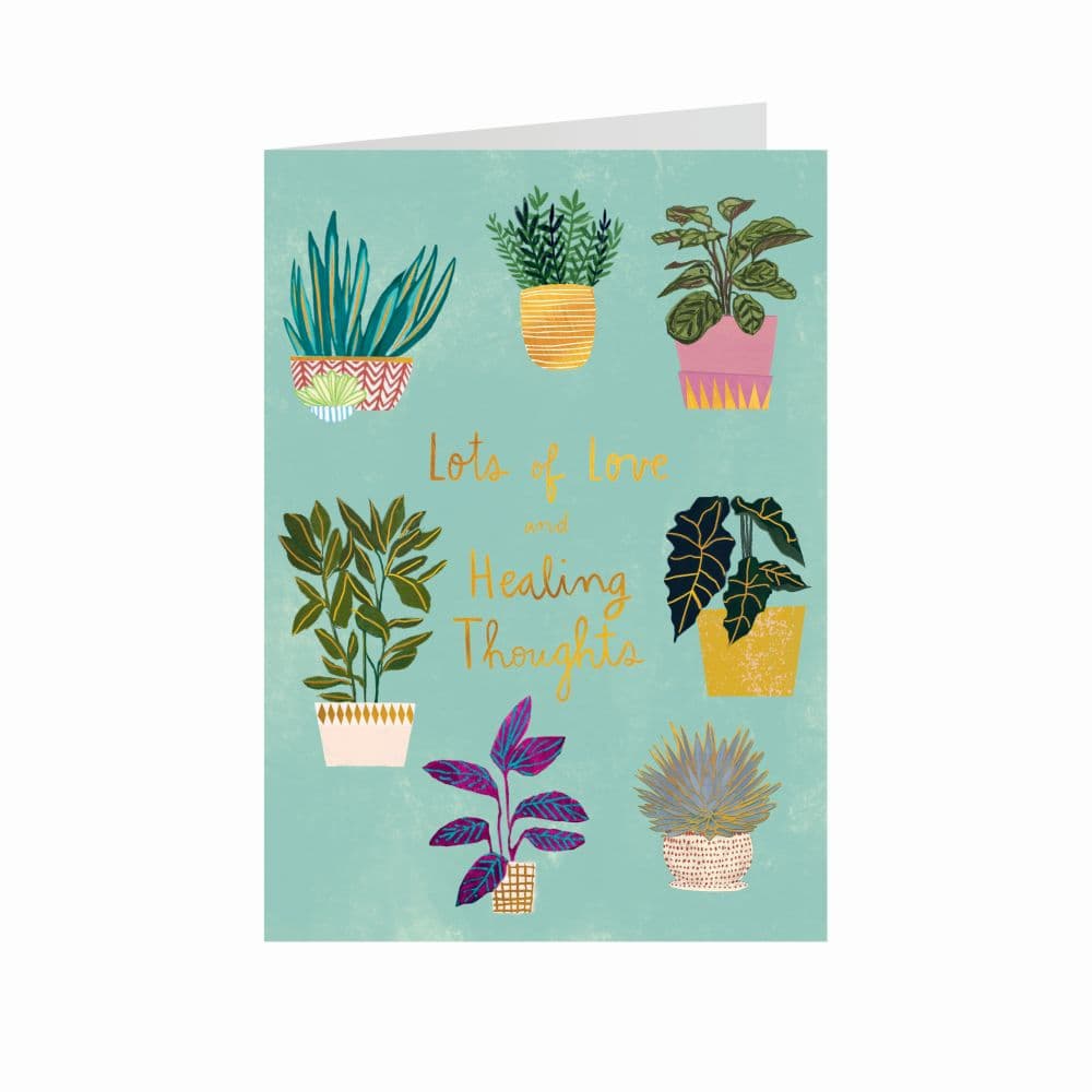 Potted Plants Get Well Card Seventh Alternate  Image width=&quot;1000&quot; height=&quot;1000&quot;