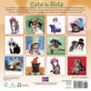image Cats in Hats 2025 Mini Wall Calendar First Alternate Image width=&quot;1000&quot; height=&quot;1000&quot;