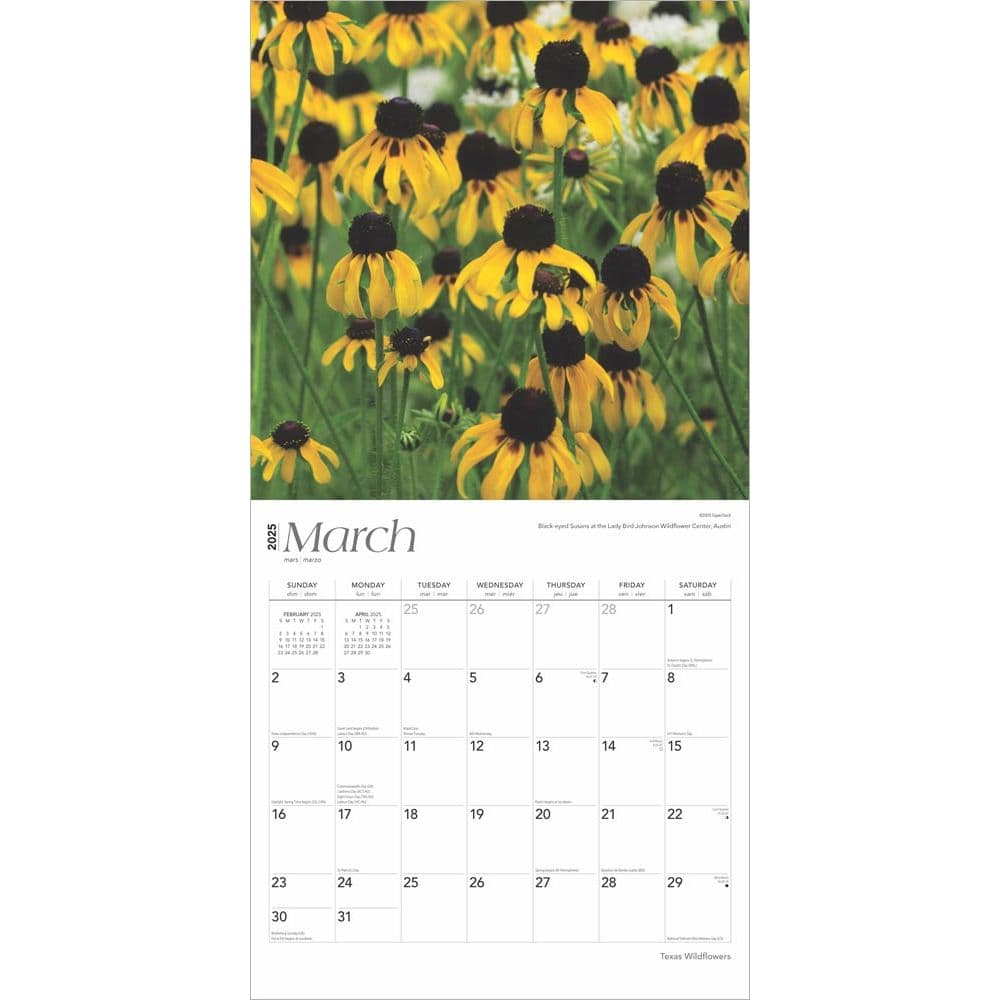 Texas Wildflowers 2025 Wall Calendar Second Alternate Image