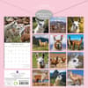 image Llamas 2025 Wall Calendar First Alternate Image width=&quot;1000&quot; height=&quot;1000&quot;