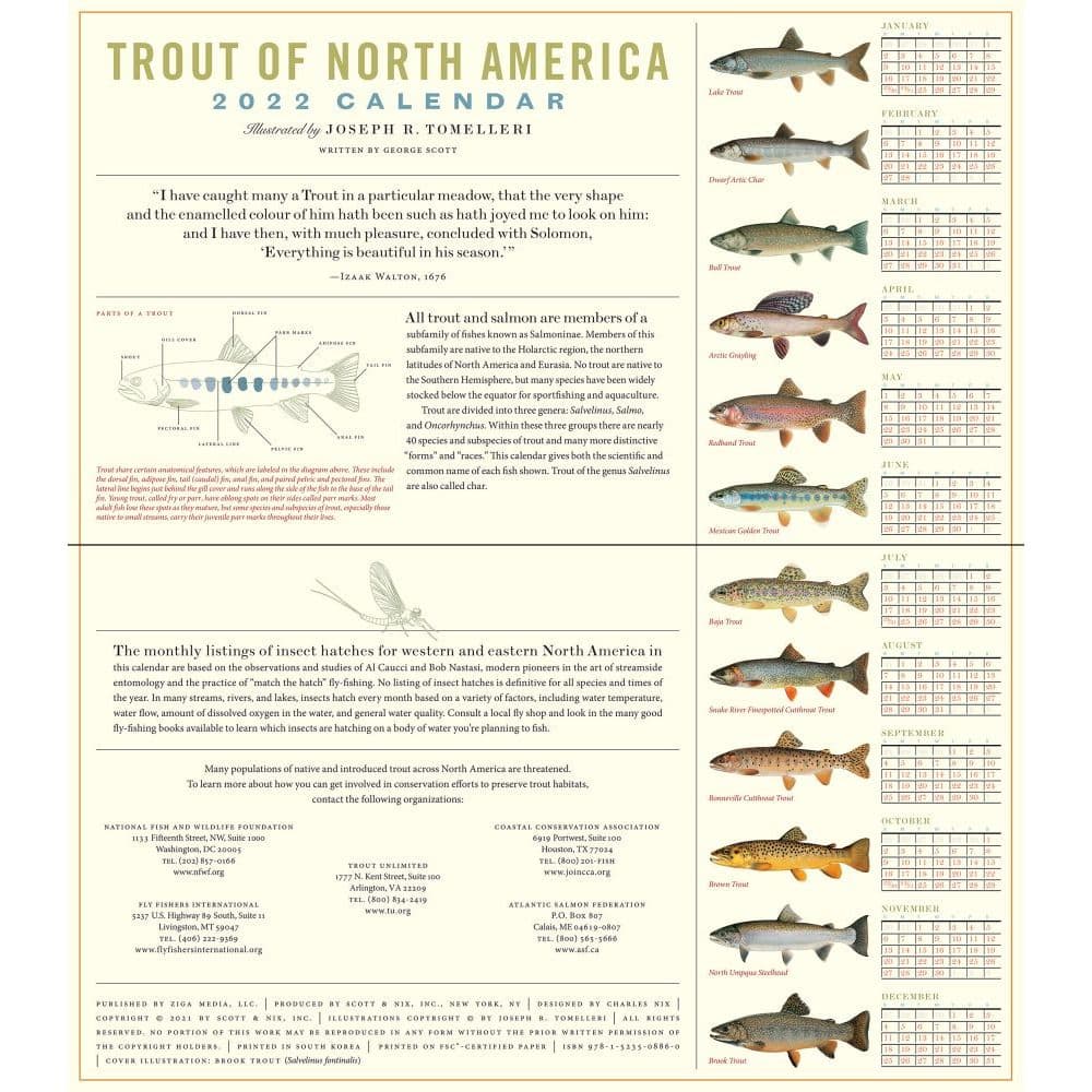 Trout Of North America 2022 Wall Calendar - Calendars.com