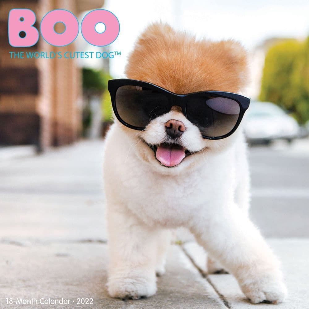 Boo 2022 Mini Wall Calendar - Calendars.com