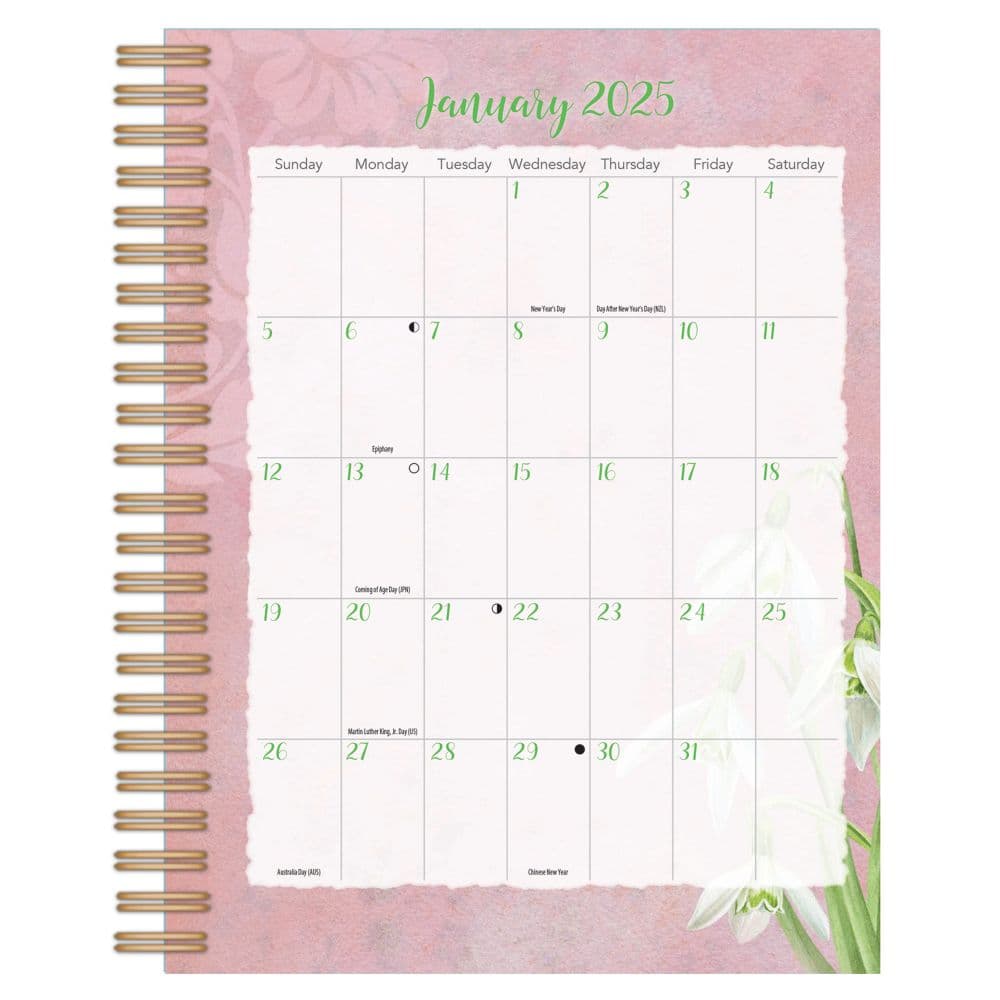 Butterflies by Jane Shasky 2025 File It Planner
