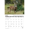 image Whitetail Deer 2025 Wall Calendar Alt2