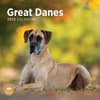 image Great Danes 2025 Wall Calendar Main Product Image