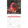 image Fantasy Pugs 2025 Mini Wall Calendar Third  Alternate Image