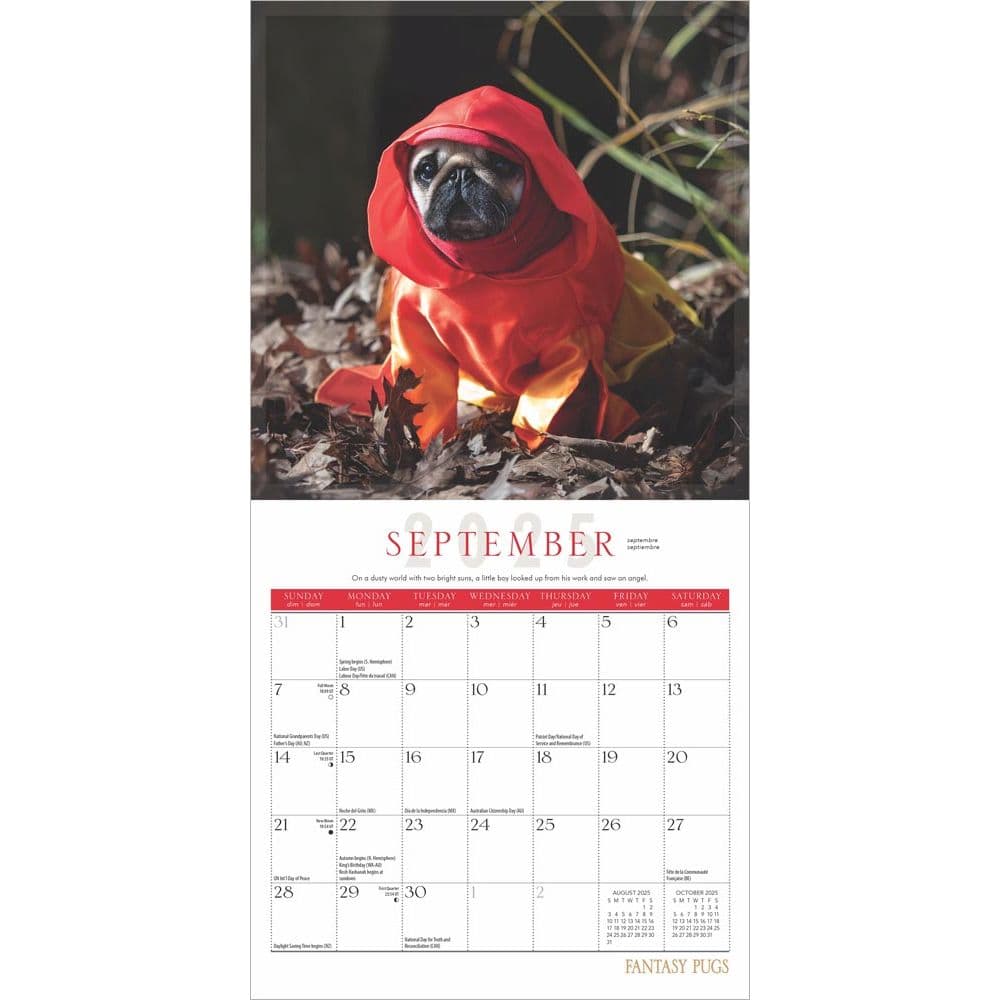 Fantasy Pugs 2025 Mini Wall Calendar Third  Alternate Image