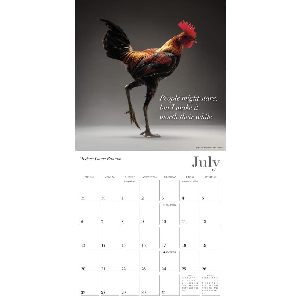 Glamour Chicks 2025 Wall Calendar