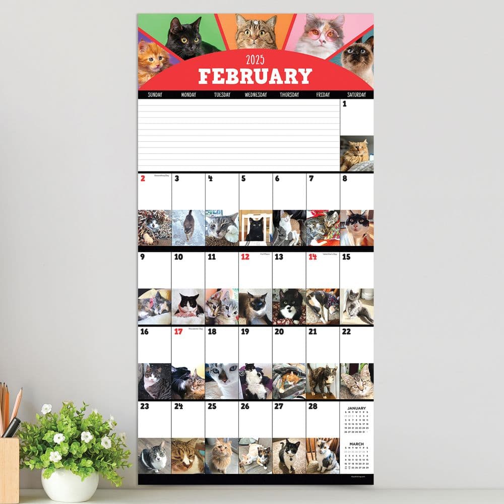 Cat A Day 2025 Wall Calendar Third Alternate Image width=&quot;1000&quot; height=&quot;1000&quot;