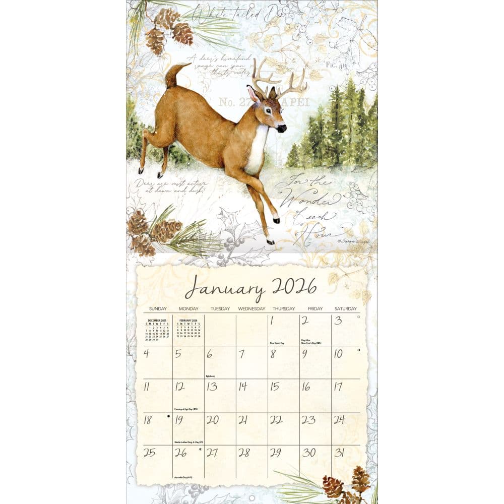 Sketchbook 2026 Wall Calendar_ALT2