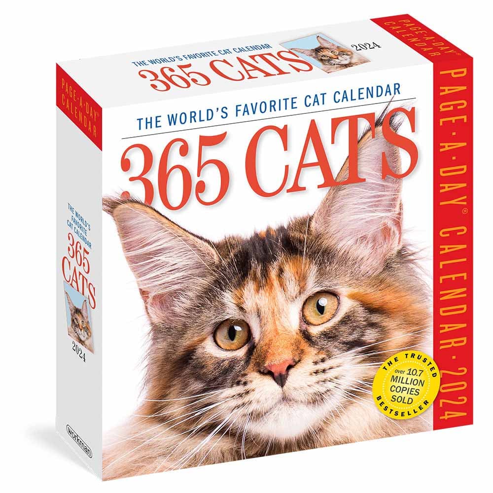 calendrier BD humour chat - a cat's life 2024