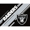 image NFL Raiders Boxed Note Cards Alternate Image 1