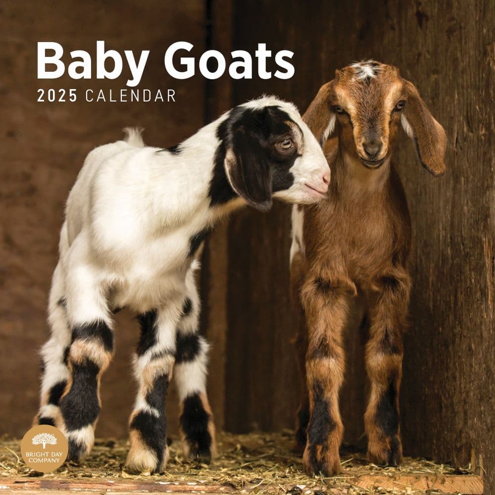 Baby Goats 2025 Wall Calendar  Main Image