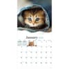image Kittens 2026 Wall Calendar Second Alternate Image