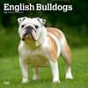 image Bulldogs 2024 Wall Calendar Main Product Image width=&quot;1000&quot; height=&quot;1000&quot;