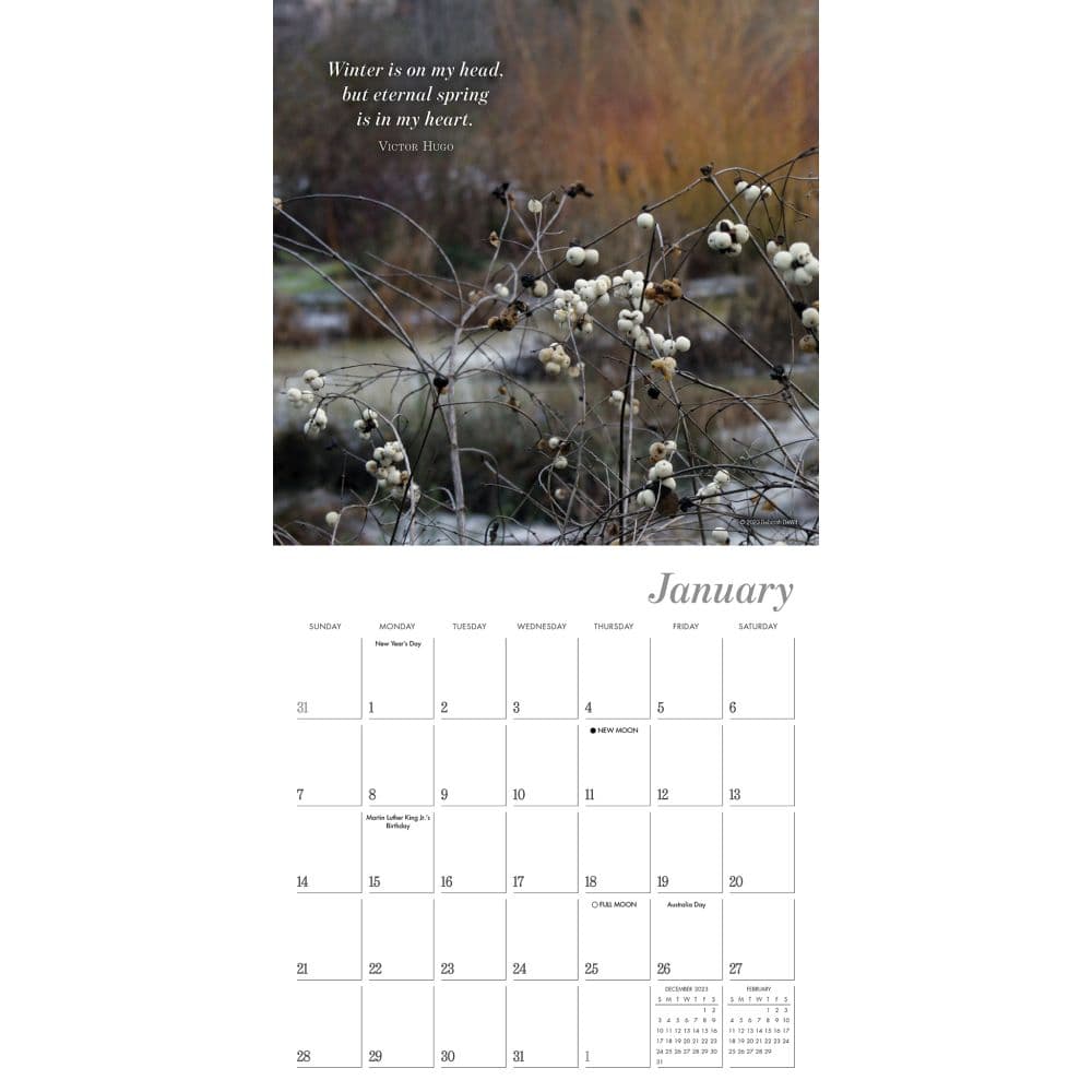 Simplicity 2024 Mini Wall Calendar