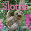 image Sloths 2025 Mini Wall Calendar  Main Image