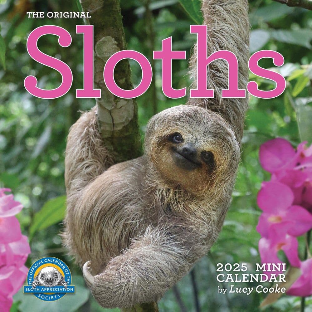 Sloths 2025 Mini Wall Calendar  Main Image