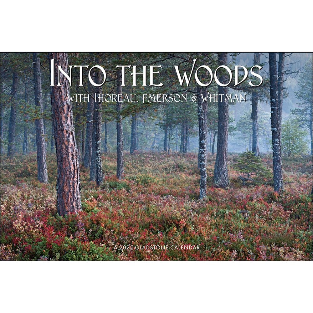 Into the Woods Deluxe 2025 Wall Calendar