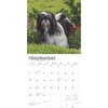 image Shih Tzu 2025 Wall Calendar Third Alternate Image width=&quot;1000&quot; height=&quot;1000&quot;