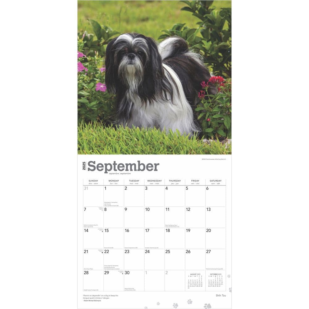 Shih Tzu 2025 Wall Calendar Third Alternate Image width=&quot;1000&quot; height=&quot;1000&quot;