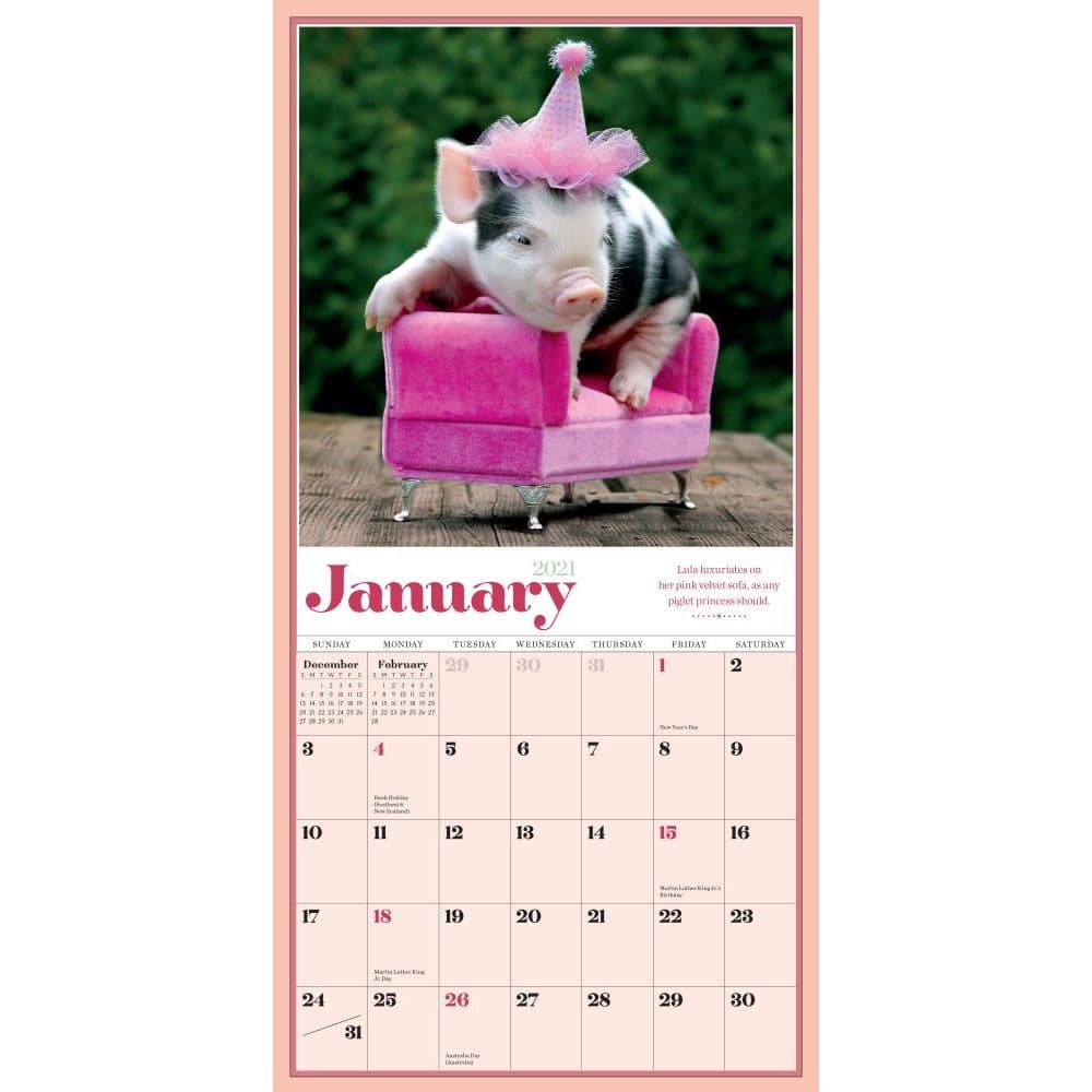 pocket-pigs-mini-wall-calendar-calendars